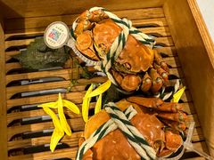 大闸蟹-79号渔船海鲜饭店(耀中店)