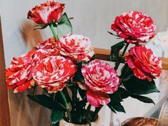 -Again Coffee Roaster(香蜜湖店)