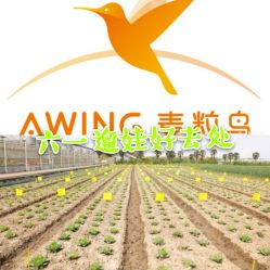 -麦粒鸟亲子游