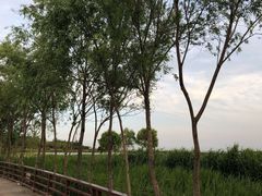-绿堤公园