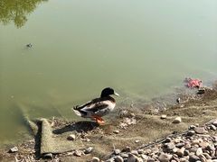 -北京鹿世界主题园