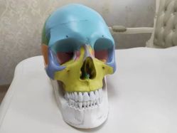 -圣嘉新医疗美容医院