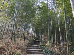 -南山风景名胜区