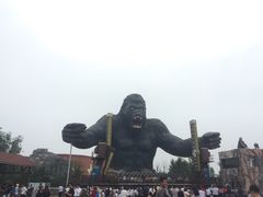 -太阳部落