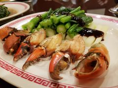 -中国城银都鱼翅酒楼