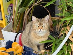 -晓麟家(江城路旗舰店)