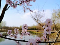 -东郊湿地公园