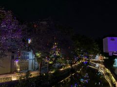 -红星光发煲仔饭(大石街店)