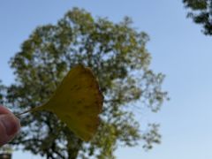 -敬亭山风景名胜区