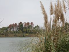 -上海怡沁园度假酒店