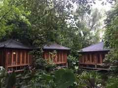 -大妙火锅·非物质文化遗产(东湖公园店)