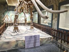 -白帝城·瞿塘峡景区