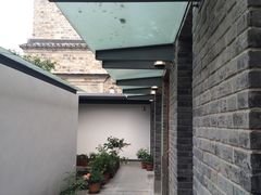 -两棵枇杷树