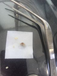 -睿宝儿科·眼科·口腔(杨浦新江湾城店)