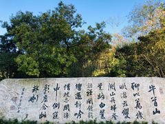 -牛首山文化旅游区