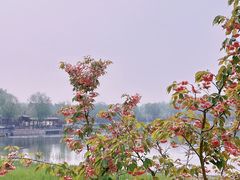 -南海子公园