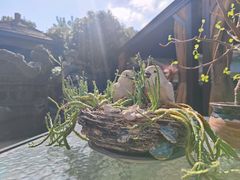 -漫渡庄绿岛花园•隐世庭园菜(滨湖店)