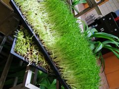 -阳光山水江湖菜馆(西山龙门店)