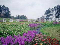 -保利石象湖景区
