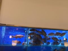 -顺峰顺水顺德菜(第一百货店)