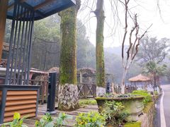 -天怡·鱼工厂(梅溪湖店)
