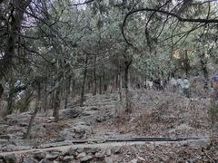 -云龙山