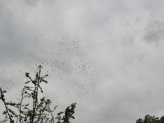 -昆山城市生态森林公园