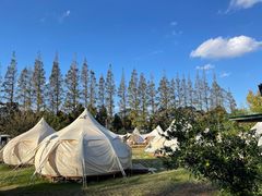 -前小桔亲子创意农场·草莓采摘·露营烧烤