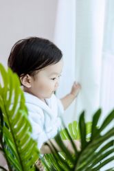 点击看大图 -小熊维尼高端儿童摄影(南山信和店)