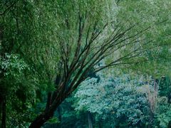-同里国家湿地公园