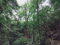 -雾灵西峰