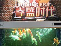 -拳盛时代拳击俱乐部(北京路店)