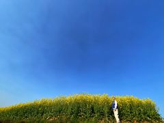 -浦江万达停车场