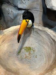 -Zoolung Zoolung动物主题公园(海信广场店)