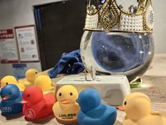 -Mr.Fox狐狸先生超级密室(南山店)