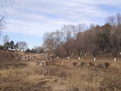 -莫子山公园