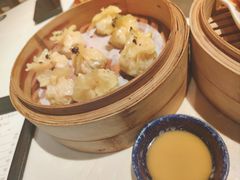 -点都德·毕德寮