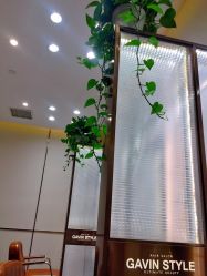 门面-崇尚GAVIN STYLE臻选