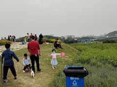 -光明小镇欢乐田园