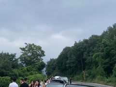 -洛阳白云山景区