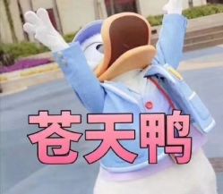 -明洞造型精品烫染