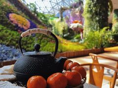 -花之城