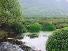-中国茶叶博物馆(双峰馆区)