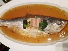 清蒸鲥鱼-忆家名门·上海菜(徐家汇店)