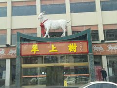 -羊上树(南门外店)