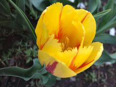 -长春公园(普阳街道)