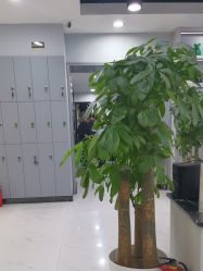 -永琪美容美发
