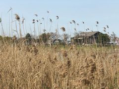 -湖州太湖旅游度假区-月亮广场