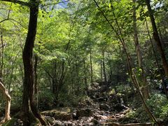 -白云源风景区