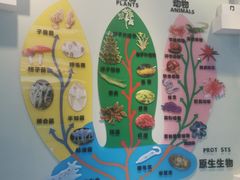 -金钉子远古世界景区